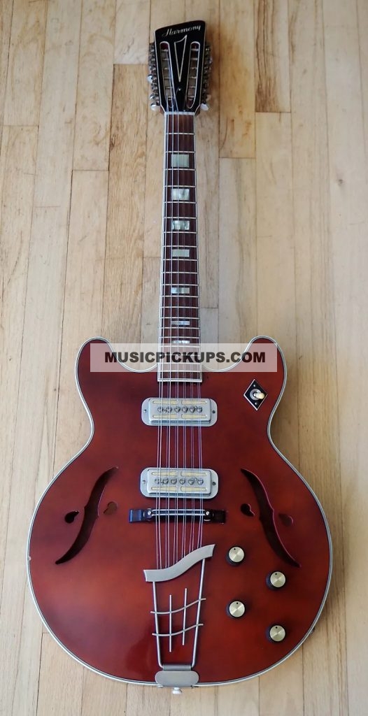 12 string shop archtop guitar
